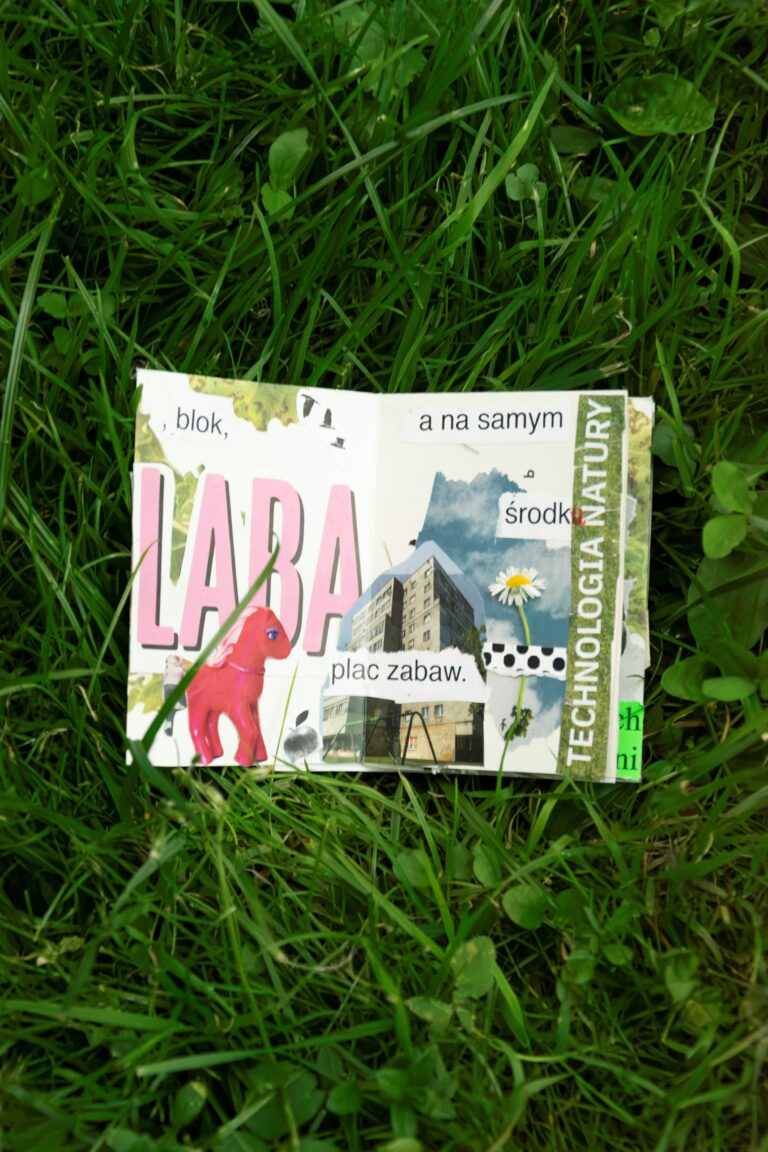 An effect of a zine creation workshop - opened on a page with colourfull collage - photographed against the grass background.